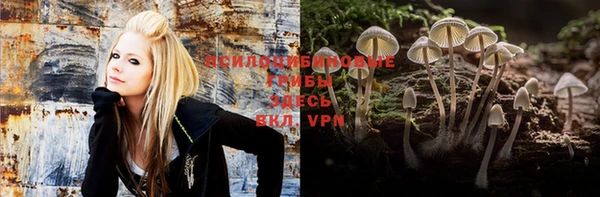 спайс Аркадак