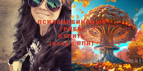 спайс Аркадак